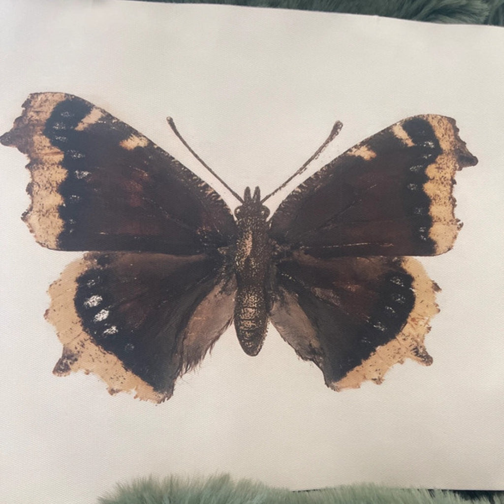 Butterfly on a white surface with green leaves in the background