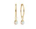 A pair of gold hoop earrings with teardrop-shaped iridescent opal pendants, shown against a solid white background.