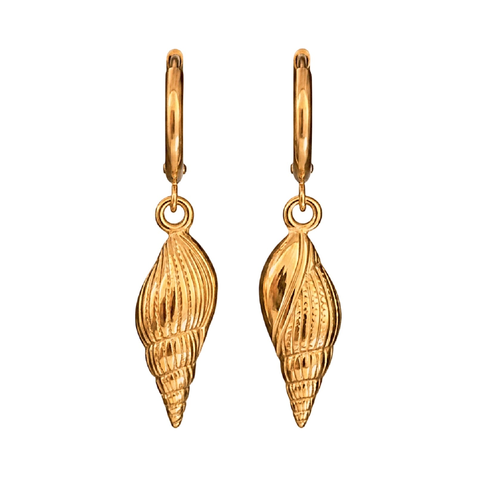 Gold shell-shaped earrings on a white background