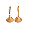 Pair of gold shell-shaped earrings on a white background