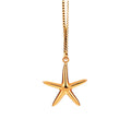 Gold starfish pendant on a chain against a white background