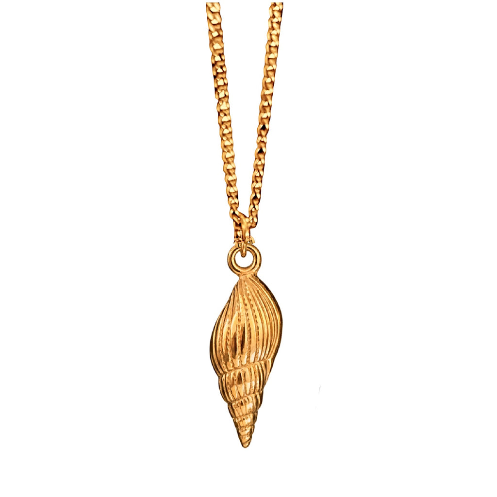 Gold shell pendant on a chain against a white background