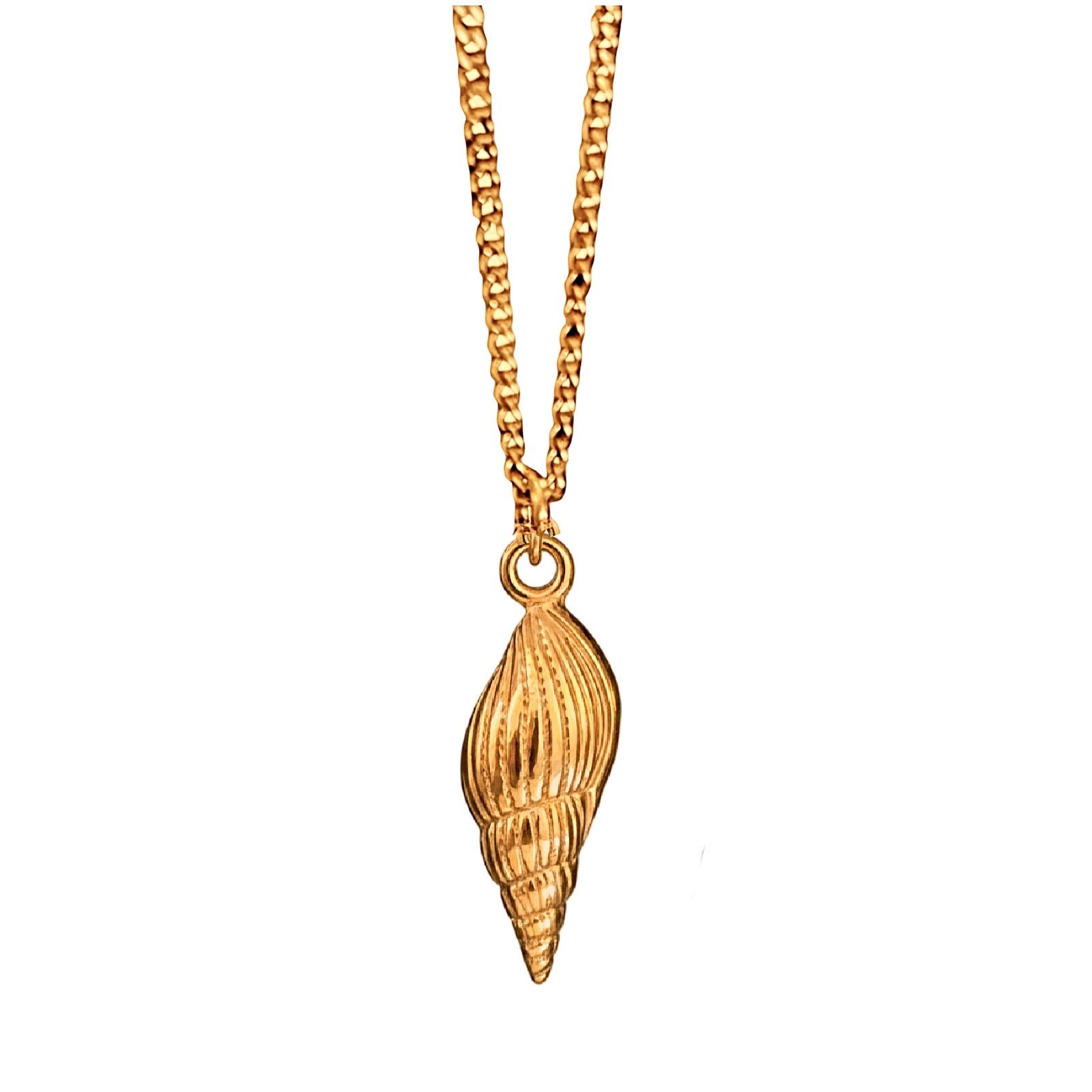Gold shell pendant on a chain against a white background
