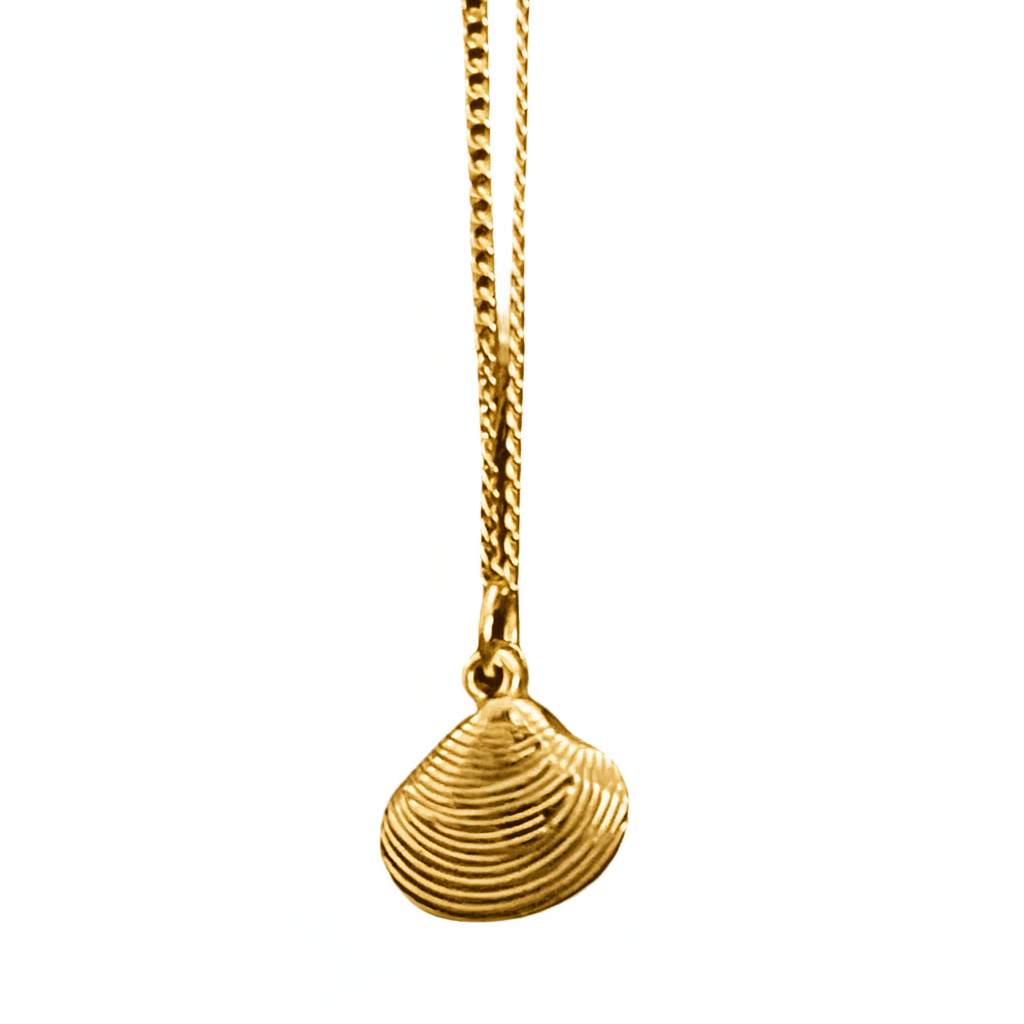 Gold necklace with a shell pendant on a white background