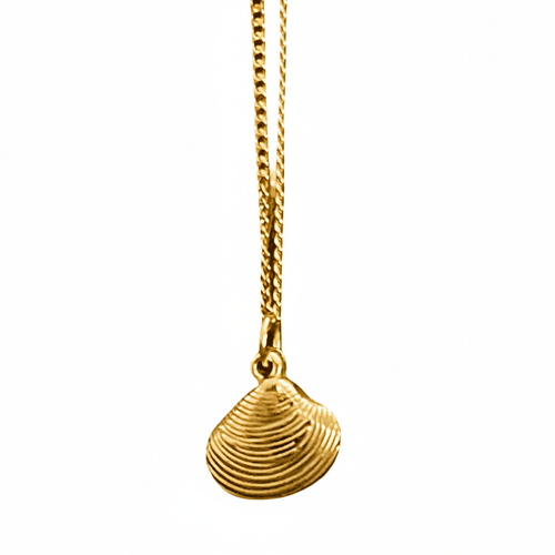 Gold necklace with a shell pendant on a white background