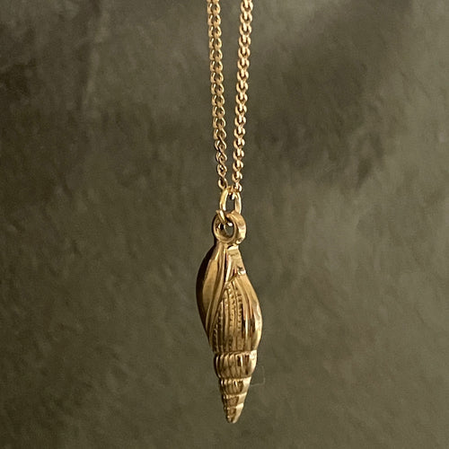 Gold shell pendant necklace on a dark gray background