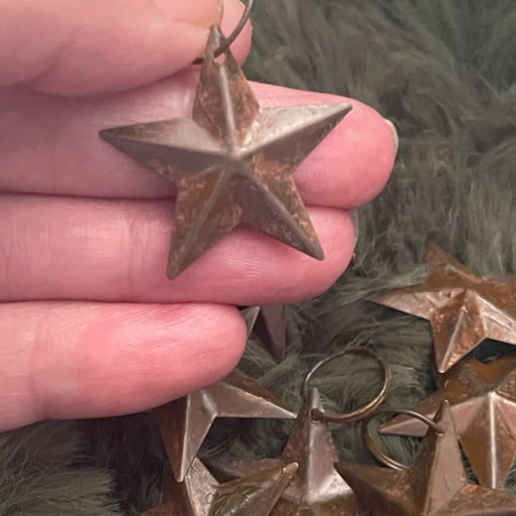 Bronze star-shaped ornament held between fingers with greenery in the background.