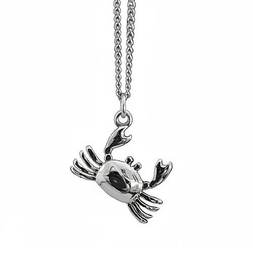 Silver crab pendant on a chain against a white background
