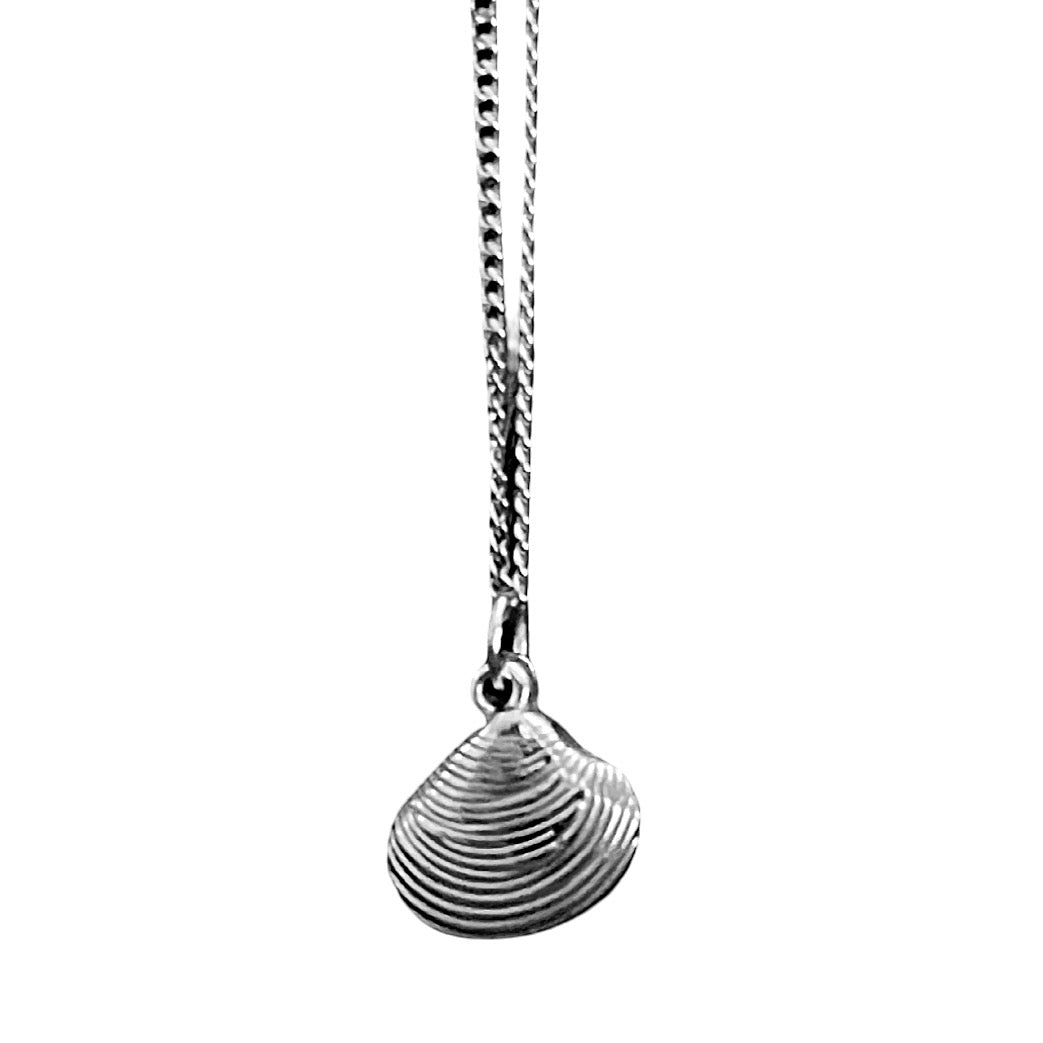 Silver shell pendant on a chain against a white background