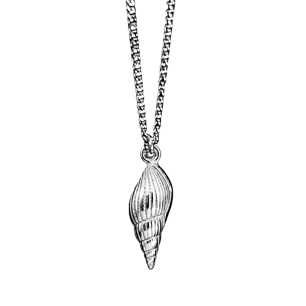 Silver shell pendant on a chain against a white background